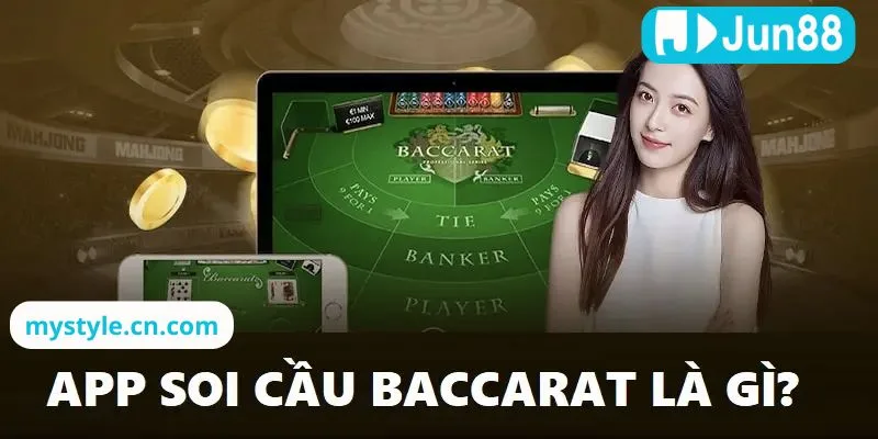 App cung cấp biểu đồ cầu trực quan và công cụ lọc dữ liệu hỗ trợ dự đoán